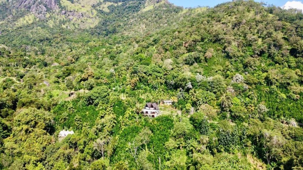 Eagle View Villa Ella Zewnętrze zdjęcie